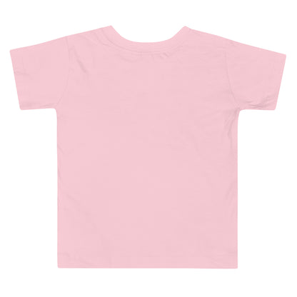 Camiseta niño Espejo 100% algodón (3 Colores)