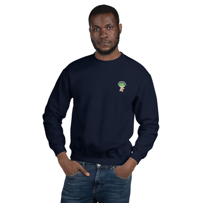 Sudadera para hombre Setita Verde (4 Colores)