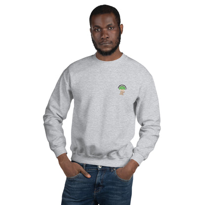 Sudadera para hombre Setita Verde (4 Colores)