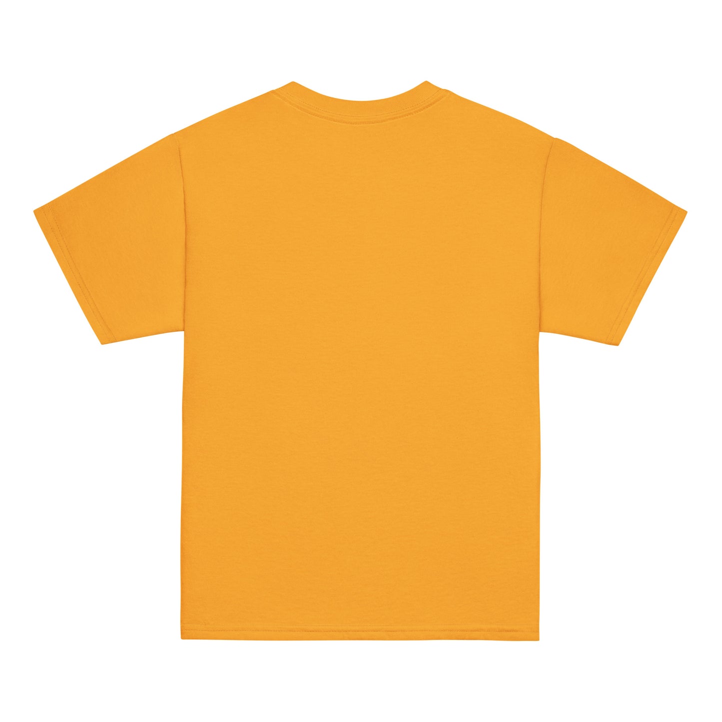 Camiseta adolescente Setitas 100% algodón  (8 Colores)